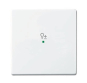 BJ Wippe 1-fach Symbol Dimmer 6234-10-84 