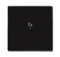 BJ Wippe 1-fach,Symbol Dimmer 6234-10-81 