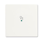 BJ Wippe 1f Dimmer matt      6234-10-884 