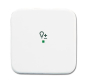 BJ Wippe 1-fach Symbol Licht 6234-10-214 