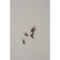 Ritto Torx-Befestigungsschraube  1229923 