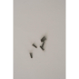 Ritto Torx-Befestigungsschraube  1229923 