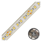 EVN LED-Strip -IP67 -     STR67241202827 