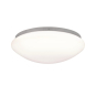 Paulmann WallCeiling Leonis IP44   70980 