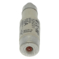 EATON Sicherungseinsatz Nsp.      10NZ01 