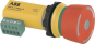 ABB INCA 1 TINA v2        INCA 1 Tina v2 