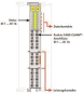 WAGO 750-1407 16-Kanal-Digitaleingang,DC 