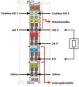 WAGO 750-554/025-000 2-Kanal- 