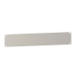 GS 19 Blindplatte 2He Ral7035  NSYCRTM2U 