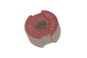 Mersen 01657.010000 DII 10A rot F222921M 