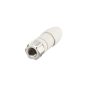 IFM SDOGH040VASFKPG               EVF565 