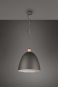 Trio Pendelleuchte JAGGER      R30681932 