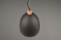 Trio Pendelleuchte JAGGER      R30681932 