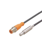 IFM Temperatursensor zum          TS5089 