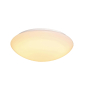 SLV LIPSY 50 Dome LED Outdoor    1002022 