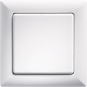 Eltako 1-fach-Rahmen 55x55mm innen  R-wg 