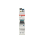 ABB FI/LS-Schalter 1   DSX301CA-B20/0,03 