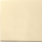 GIRA 029601 Wippe System 55 