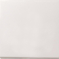 GIRA 0126112 Tastschalter Aus-Wechsel 