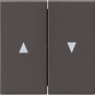 GIRA 029428 Wippe 2fach Pfeil System 55 