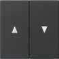GIRA 0294005 Wippe 2fach Pfeil System 55 