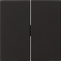 GIRA 0295005 Wippe 2fach System 55 