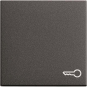 GIRA 028728 Wippe Symbol Tür System 55 