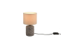 Trio Tischleuchte MALA 1x E14  R50941044 