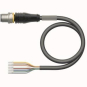 Turck Aktuator-und       RSS8.800T-2/TXL 