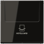 JG Hotelcard-Schalter     LS 590 CARD SW 