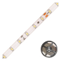 EVN Unicolor-LED-Stripe   ICSB5424303502 