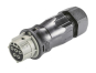 Wieland Bu. T. m. RST25I5S6B1 ZR3SV GR03 