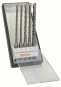 Bosch Hammerbohrer-Robust     2607019928 