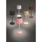 Brumberg REIRO                  65411173 