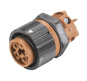 Wieland Buchsen-   RST16I5 S B1 M03 L BR 