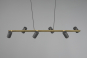 TRIO Pendelleuchte MARLEY 6-fl 302400680 