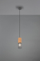 TRIO Pendelleuchte TOSH, 1xE27 304300132 