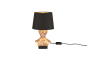 Trio Tischleuchte ALBERT,1x    R50311080 