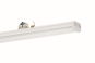 RIDI VLGFP1501-5NDWS840W0800-RF  1551213 