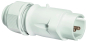 BALS Kleinspannungs-Stecker 16A 2p  4427 