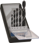 Bosch Holzspiralbohrer-Set    2607010527 