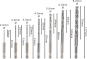 Bosch Holzspiralbohrer-Set    2607019923 
