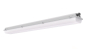 Pracht GECKO L 2-22 67cm PCO     5281212 