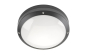 SG-Leuchten Canto schwarz/opal    644866 