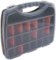 AXING Sortierbox Leer          BZU 60-00 