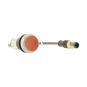 EATON C22-D-R-K01-P1 Drucktaste   185675 
