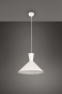 Trio Pendelleuchte ENZO,1x E27 R30781931 