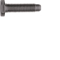 ELCOM Schraube Spezial ZY M5x25  REH124Y 