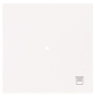 BJ Wippe 1-fach m.Symbol     6232-10-44G 