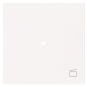 BJ Wippe 1-fach m.Symbol     6233-10-44G 